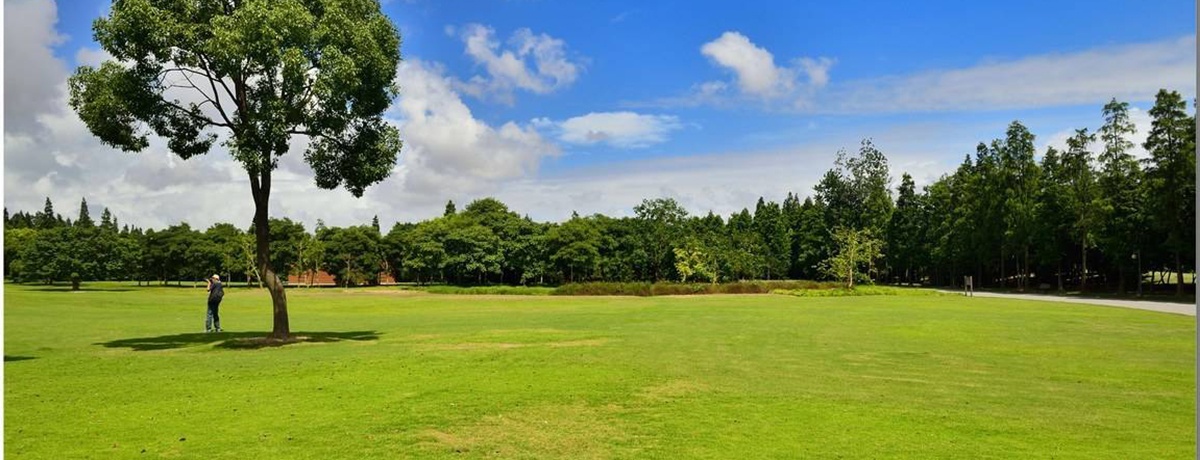 精品国产91乱码一区二区三区