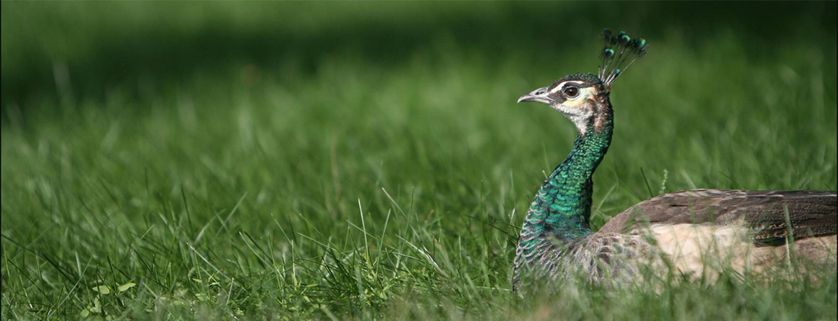 精品国产91乱码一区二区三区