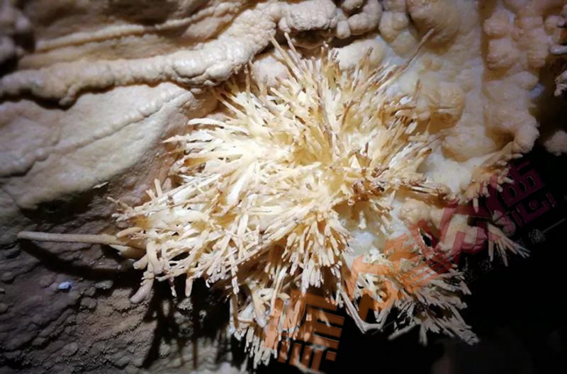 精品国产91乱码一区二区三区