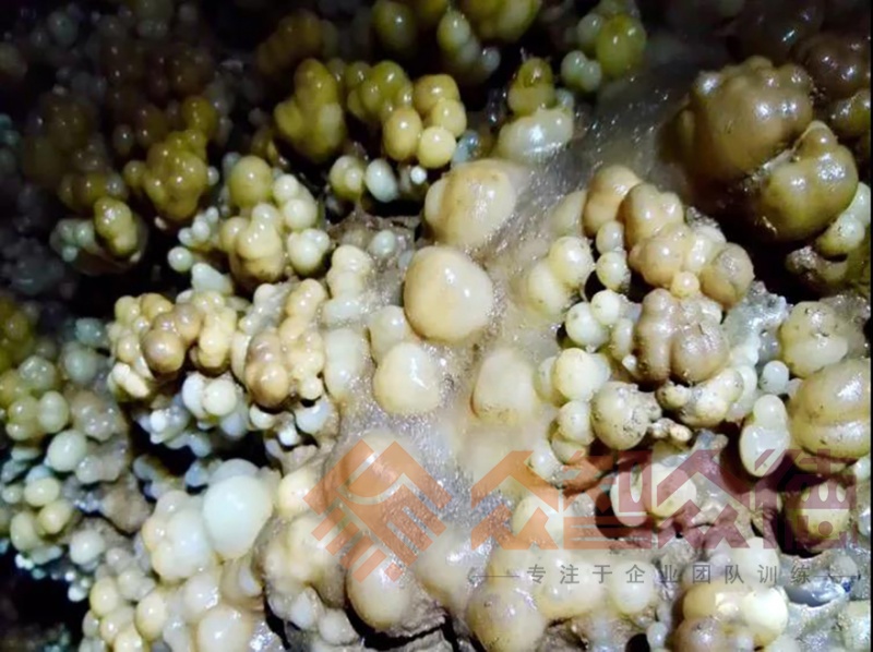 精品国产91乱码一区二区三区