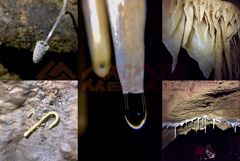 精品国产91乱码一区二区三区