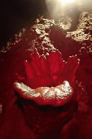 精品国产91乱码一区二区三区